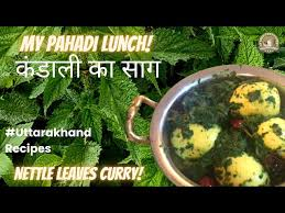 food culture “Kandaxtli Ka Saag cooked in authentic Pahadi style, a unique delicacy of the Himalayan region.